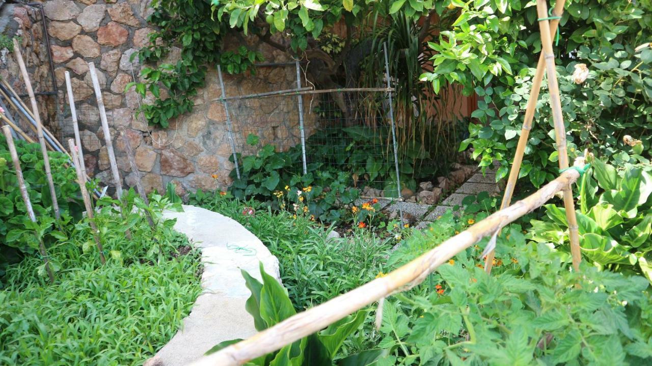 Ferienwohnung La Casa Di Elba E Mario Porto Santo Stefano  Exterior foto